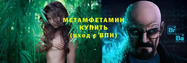 спиды Богданович