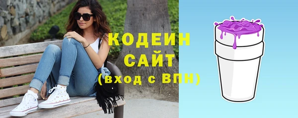 спиды Богданович