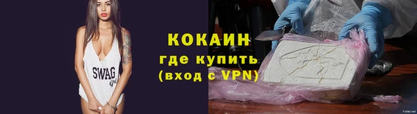 спиды Богданович