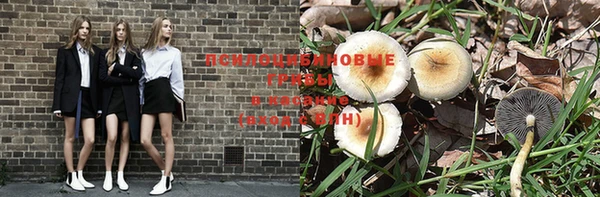 а пвп мука Богородицк