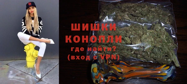 спиды Богданович